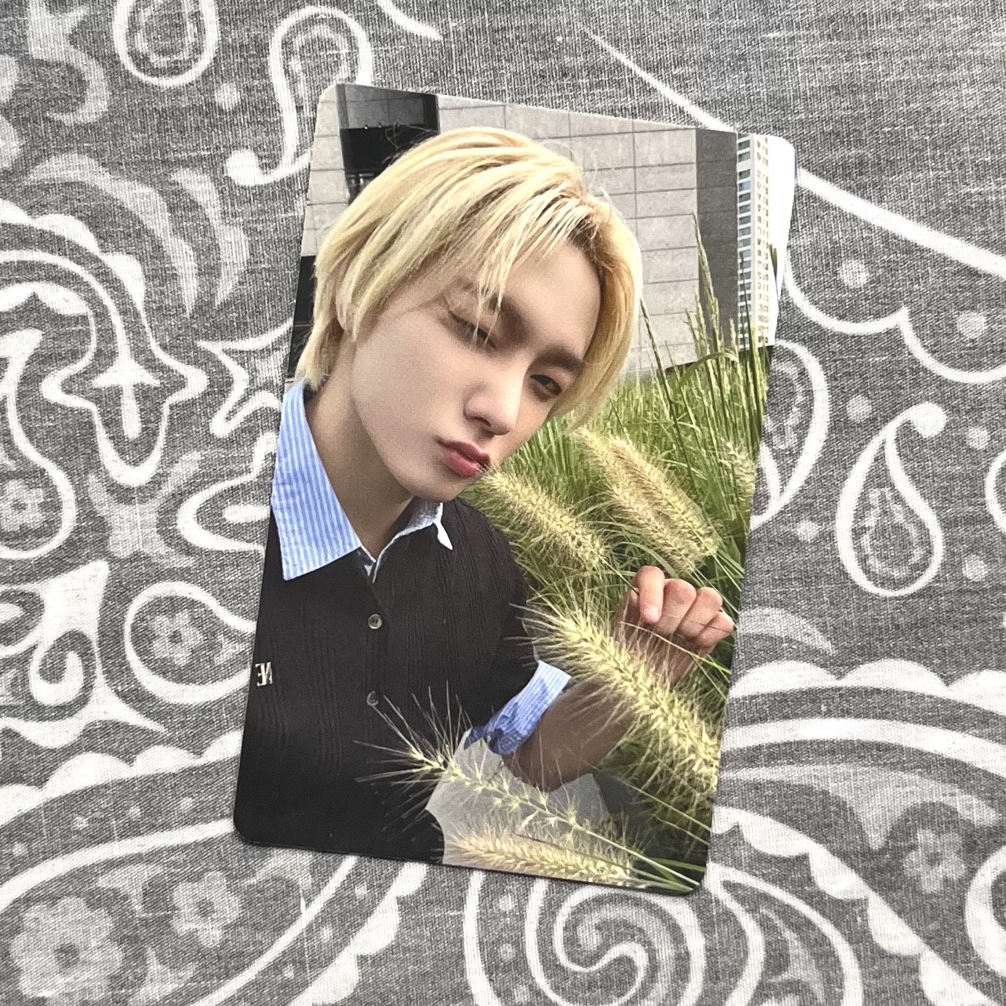 朴成淏 The Action wvs sc A版 直播卡 