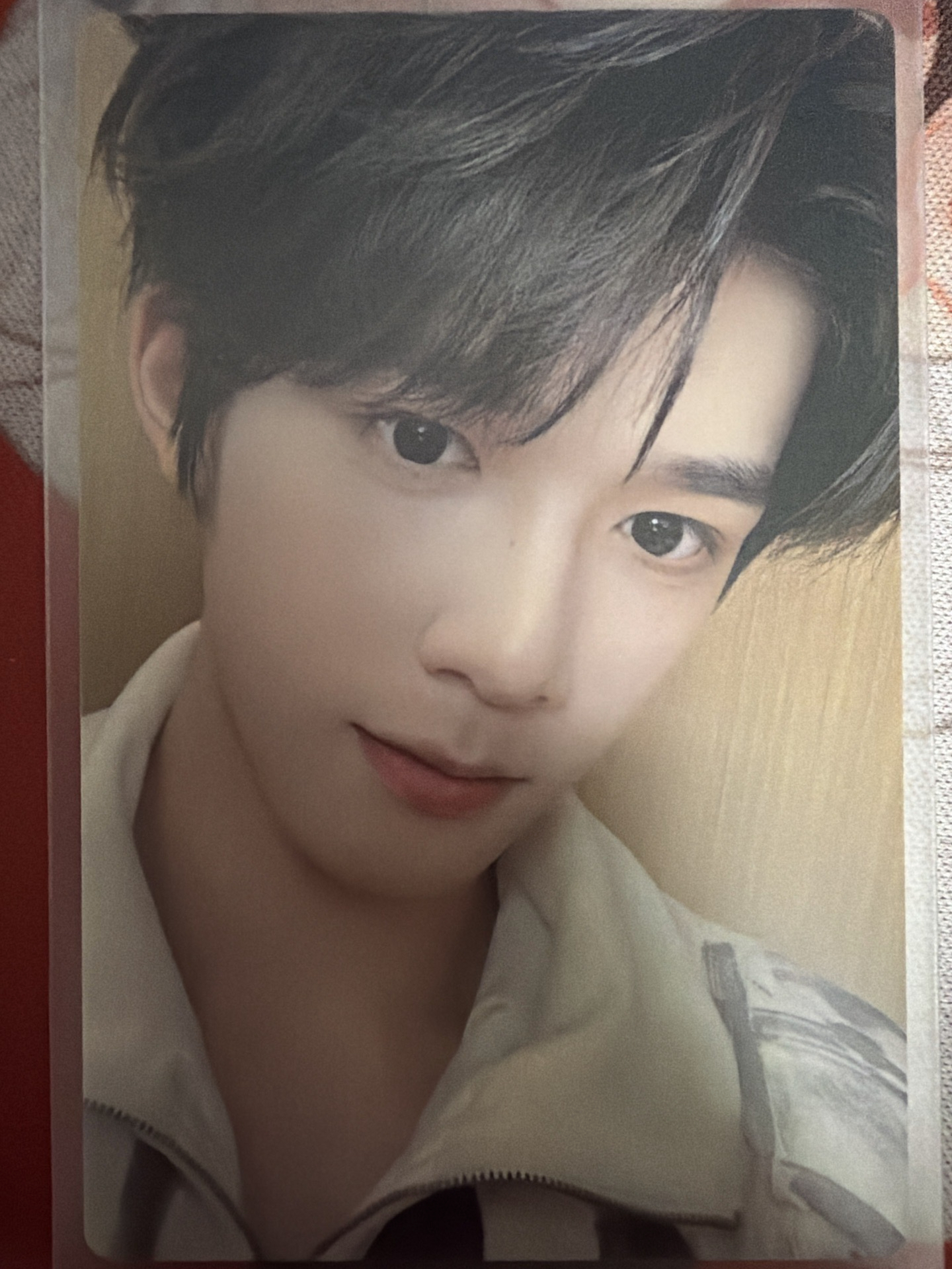 官俊臣榮耀卡包N卡