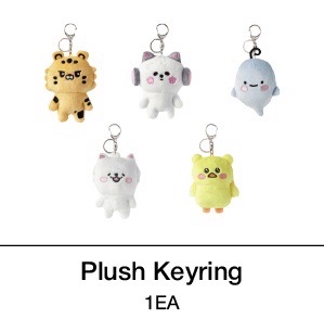 現貨｜FIM’S CLUB 原皮允 高額頭版