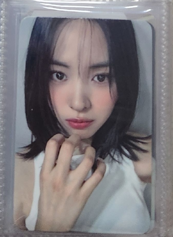 sw 8.0 簽售卡 留真