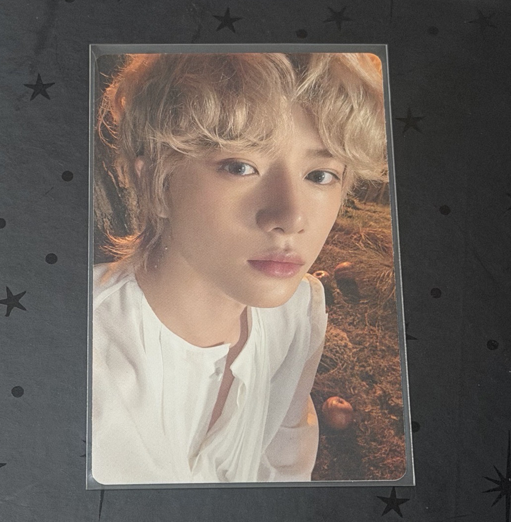 杋圭 迷六專卡 Light版