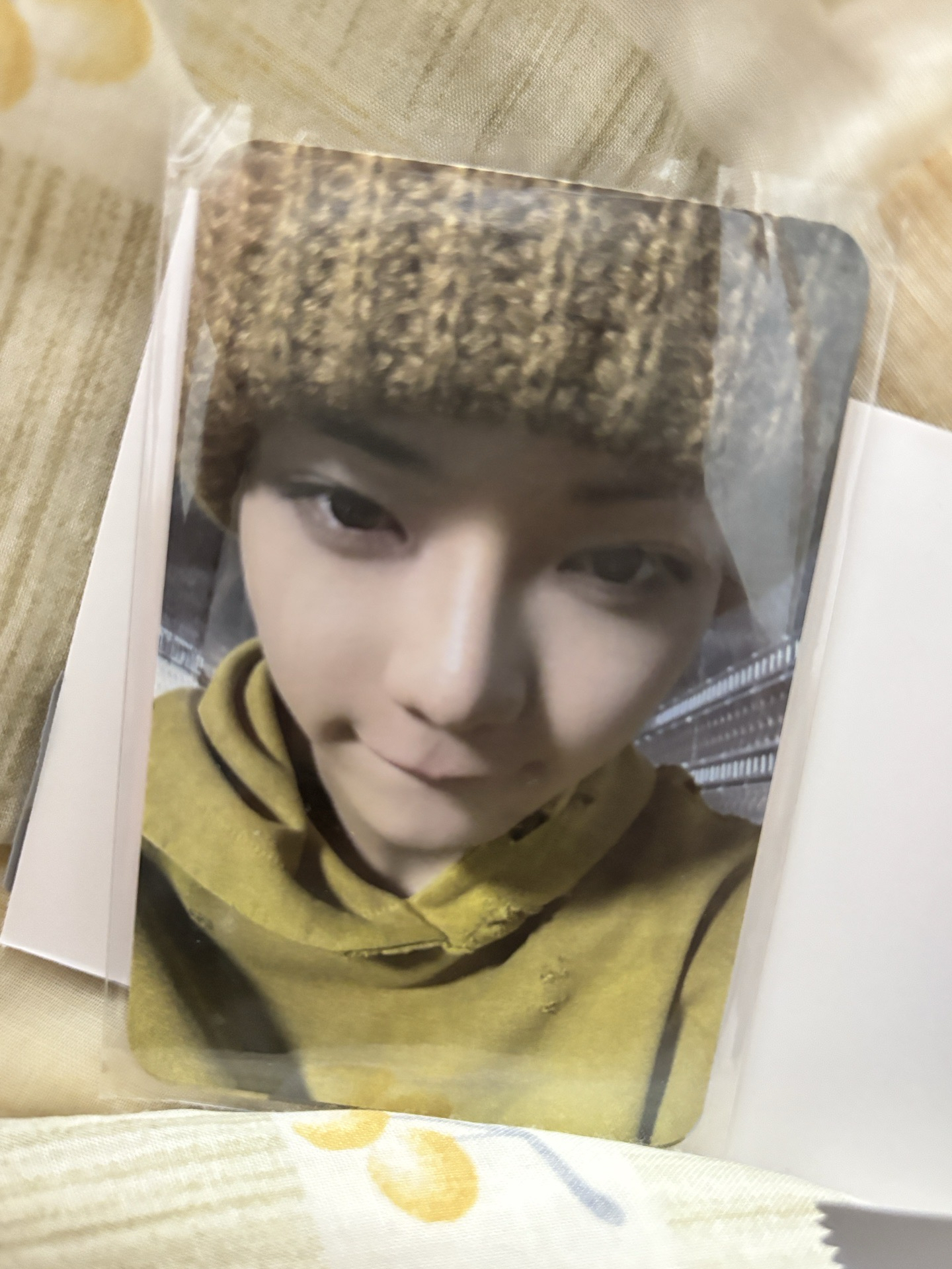 現貨五律第二周大歌卡