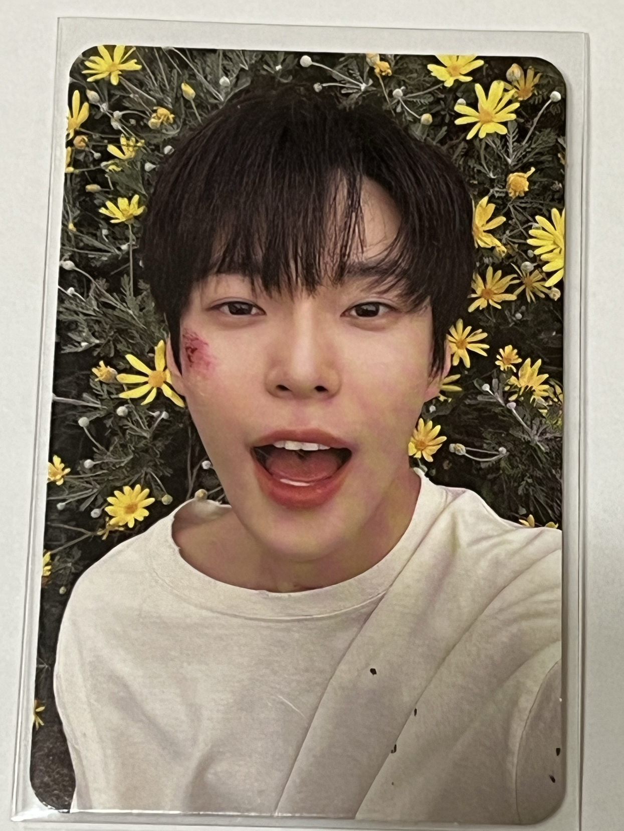 道英 solo1 青春的泡沫 digipack ver.