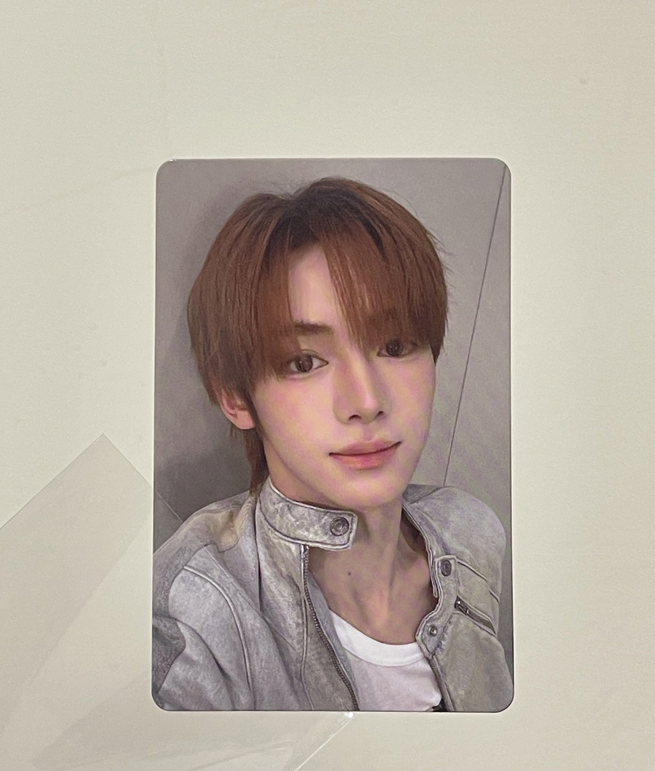 韓振電影卡+四格卡