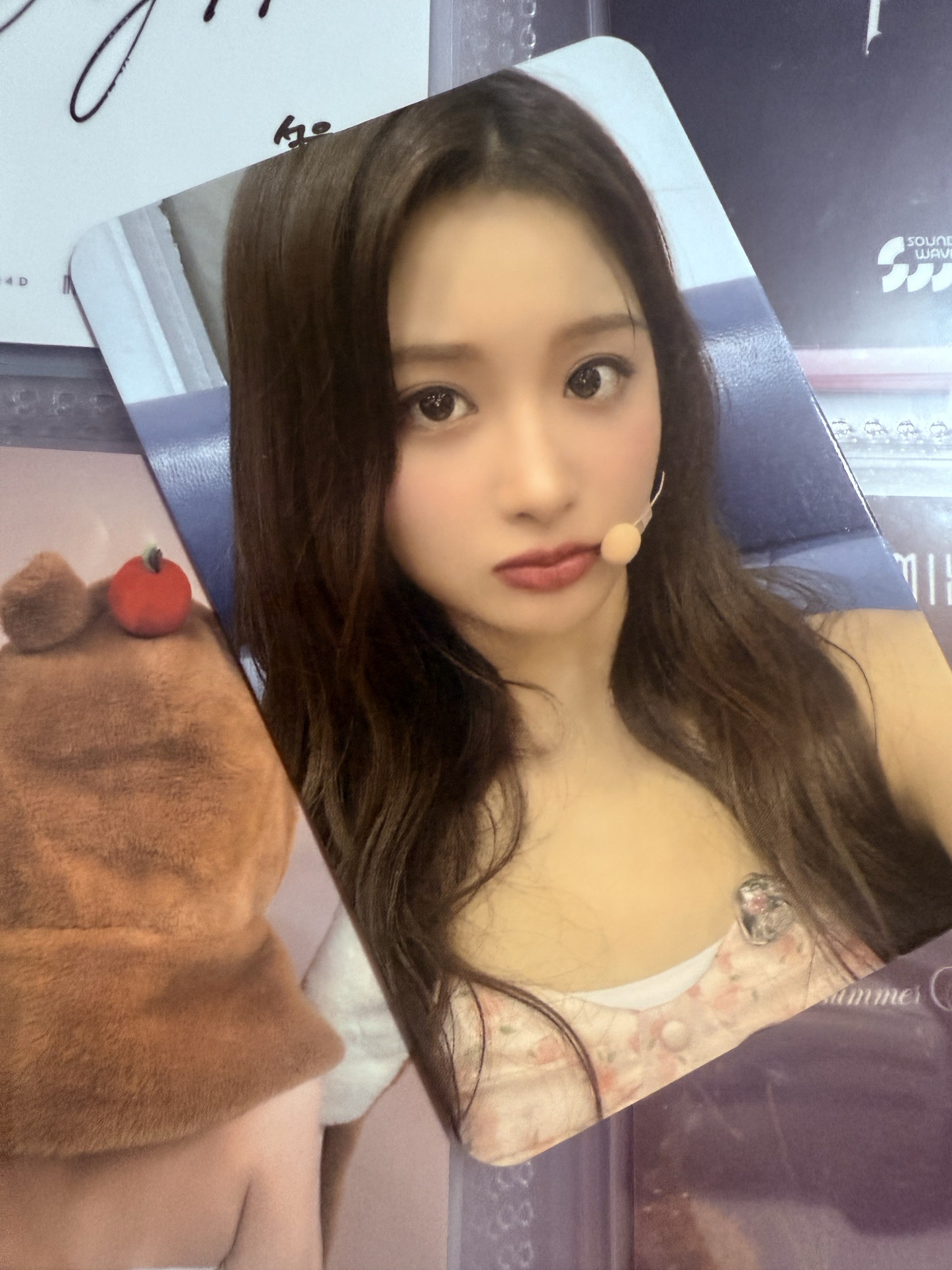 仲夏夜 sr 預售 1.0  特典卡 