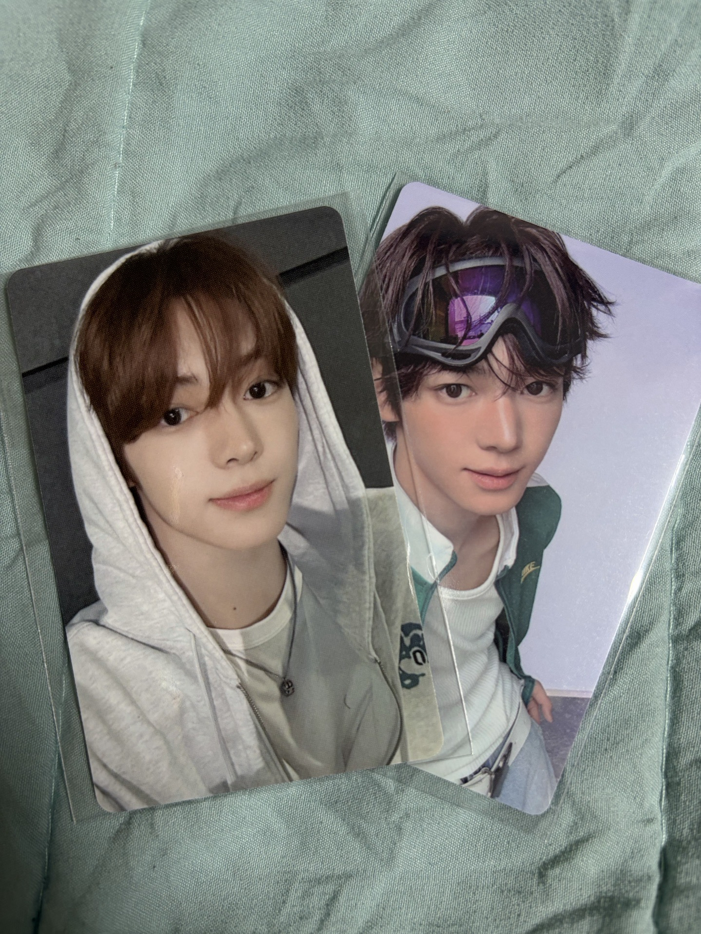 韓振wvs直播卡+專卡