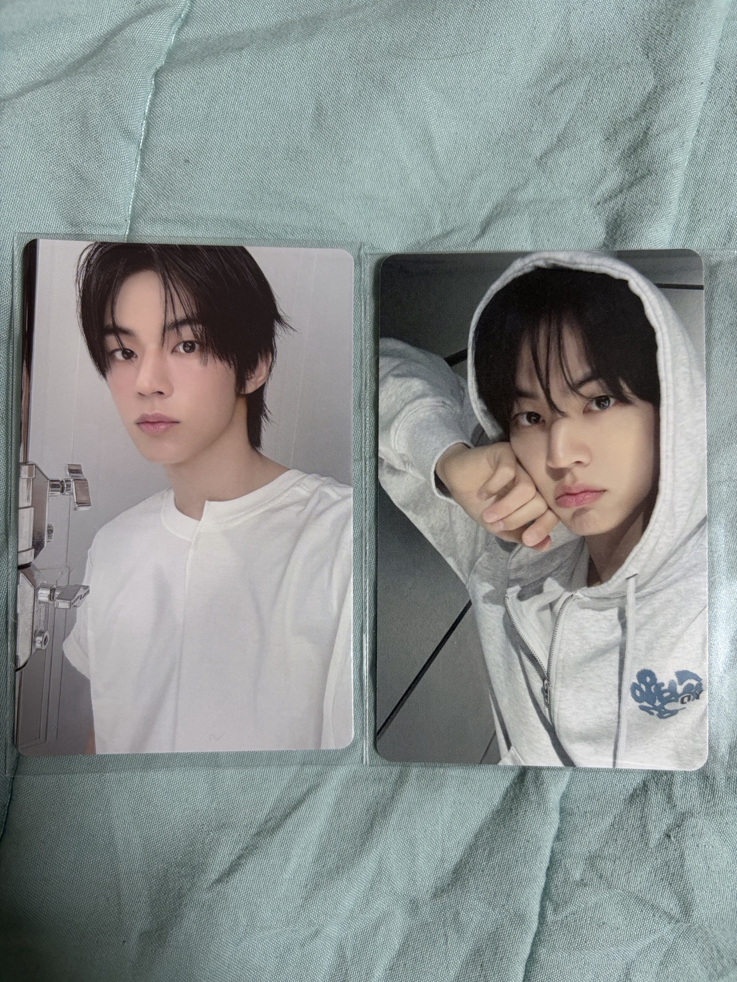 道勳wvs直播卡+專卡