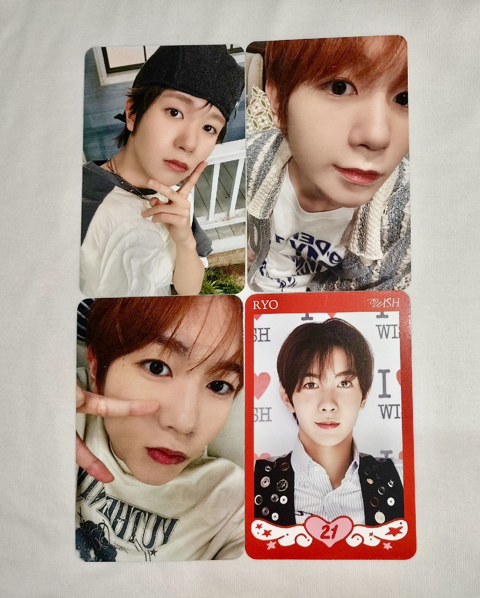 🦭遼 如果我是一隻恐龍🦖🦕~ 內容如下⬇️