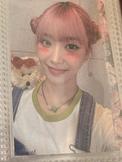 日版teddy bear特典