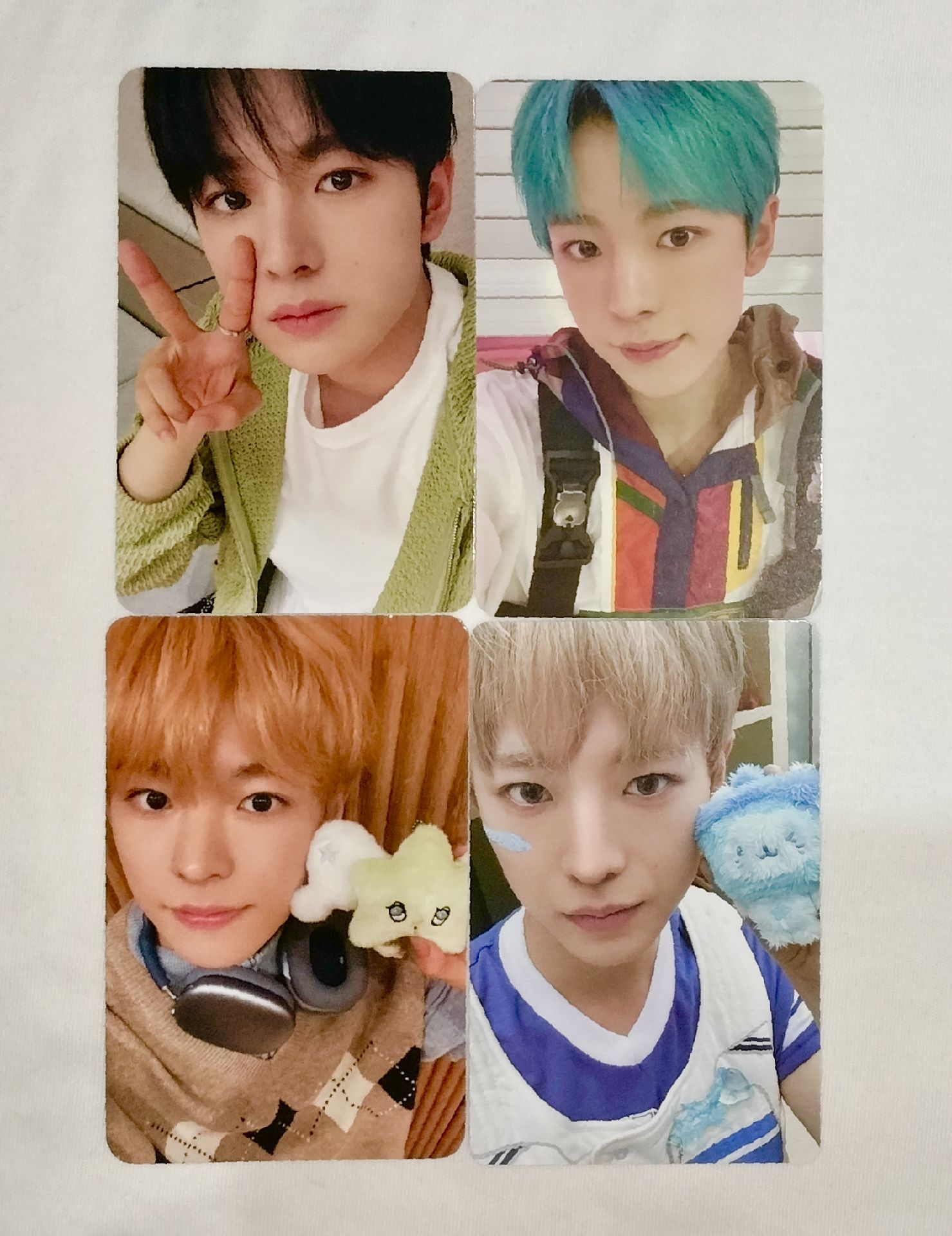 ⭐志  人，我可愛嗎😼~