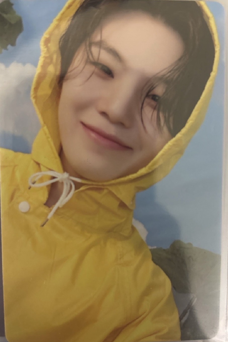 MINI11 專輯卡 CARAT ver.