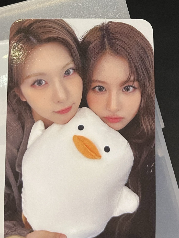 一比鴨鴨雙人卡