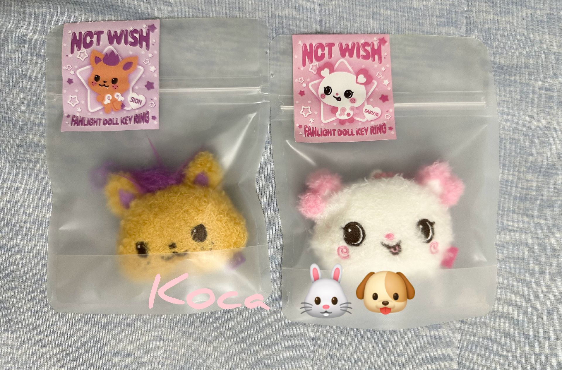 NCT WISH SION 糰子吊飾