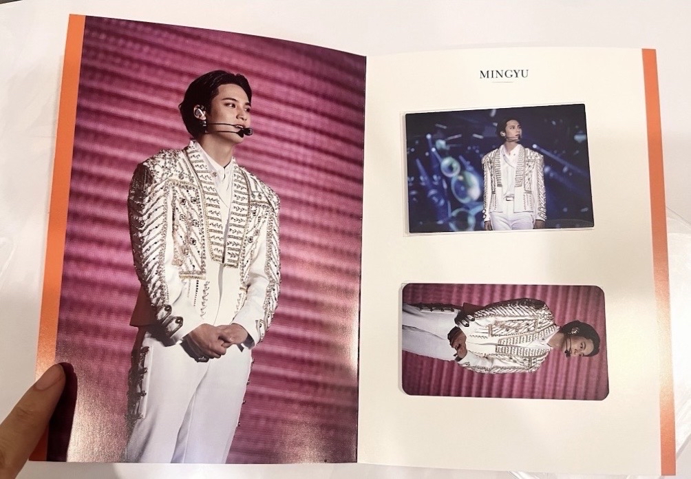 奎南海電車小盤（語音卡/特典/拍立得）