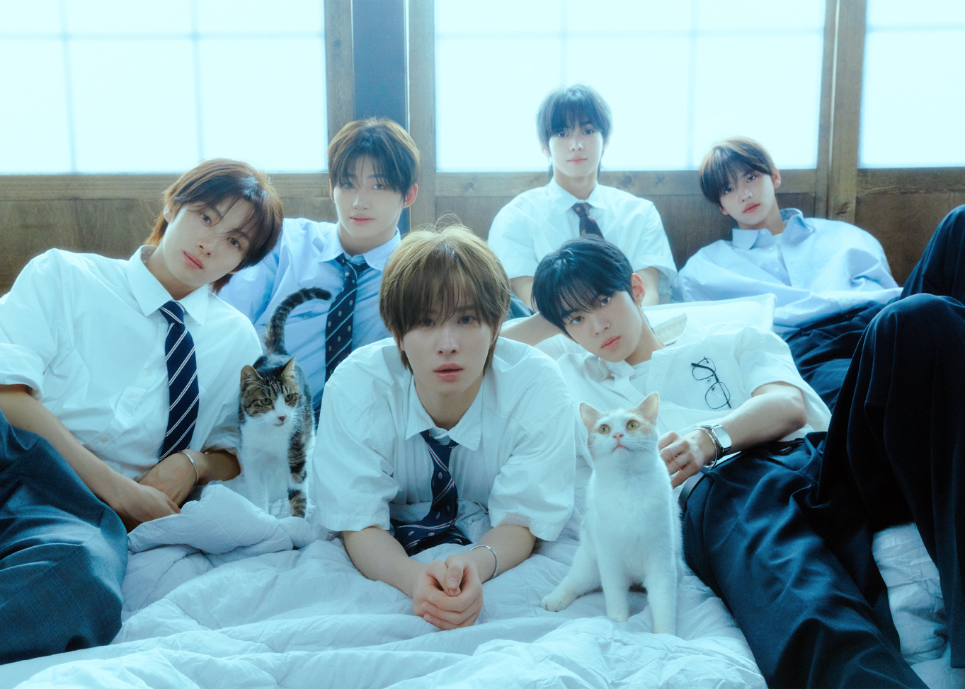 🐹(下單請先看主頁)