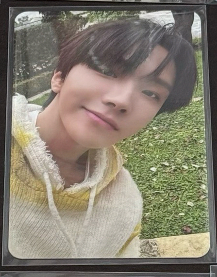 馬德里回憶錄雲鶴