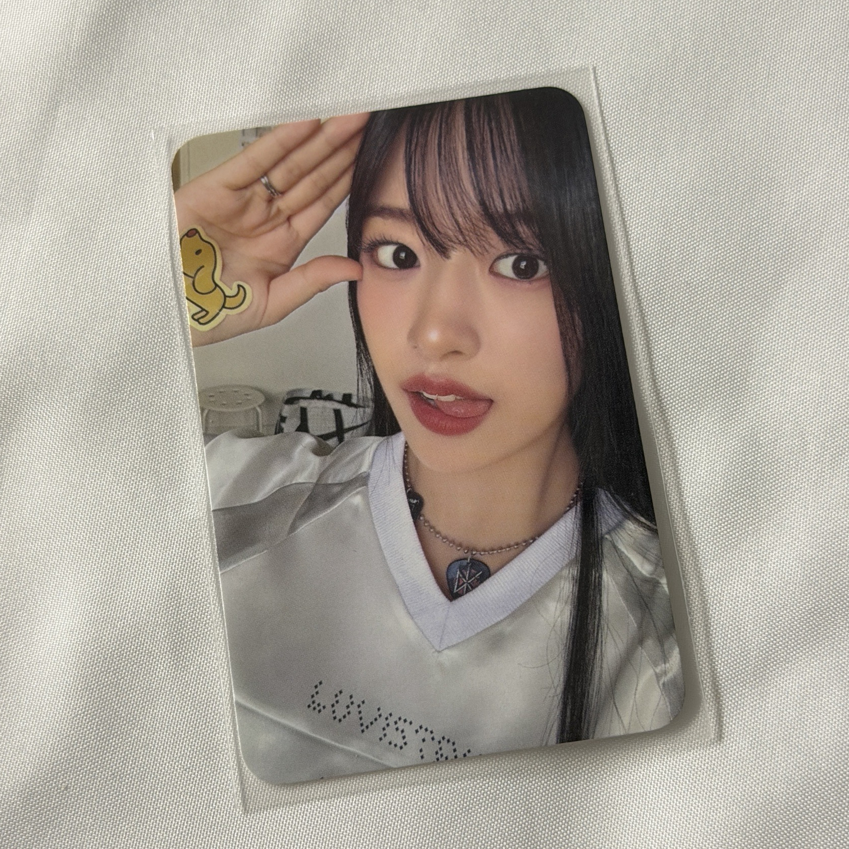 IVE 年曆K4特典安 超萌吐舌小狗🐶