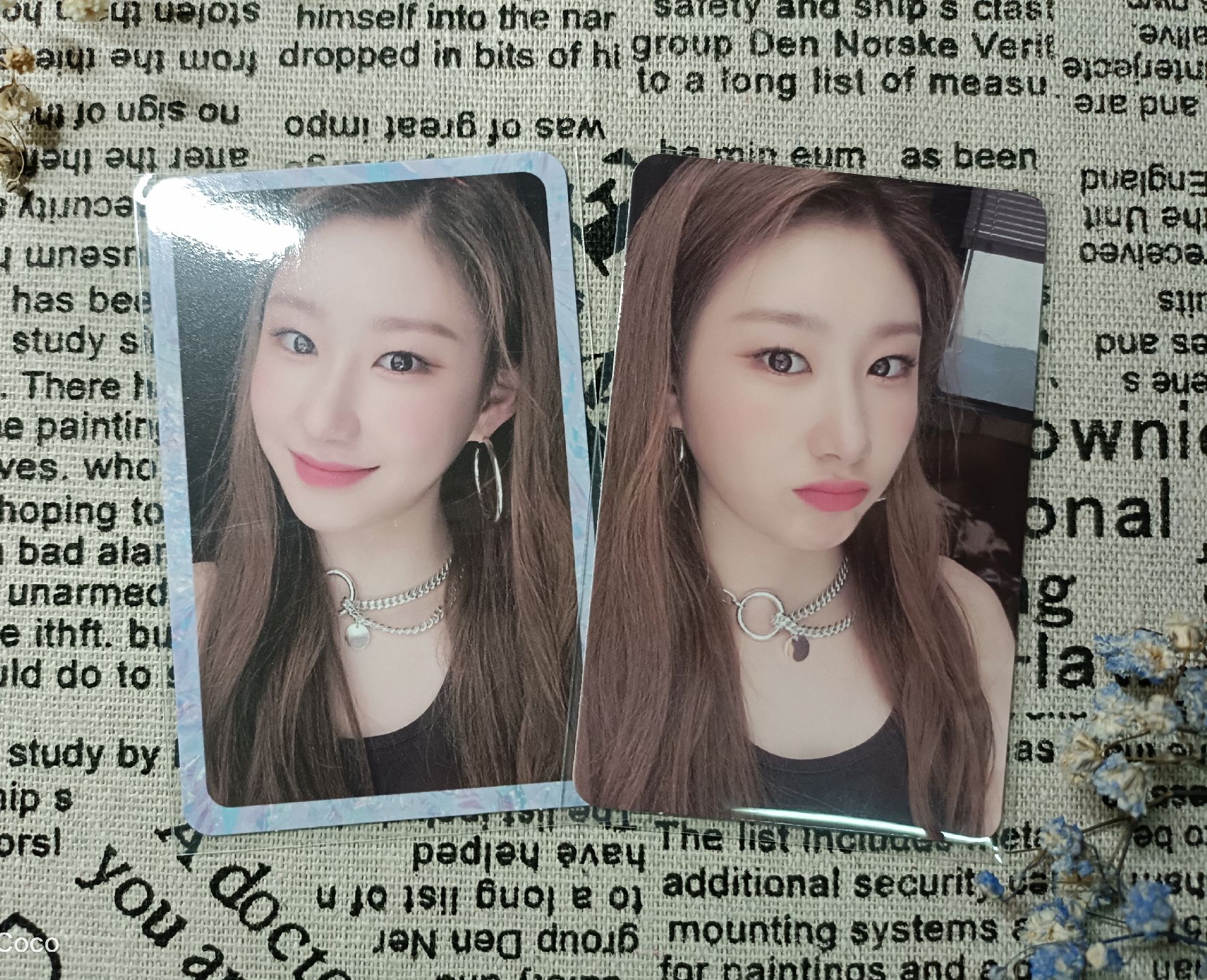 ♪美麗領子盤♪