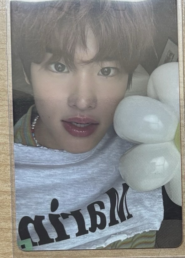 D社寫真 雜誌卡 