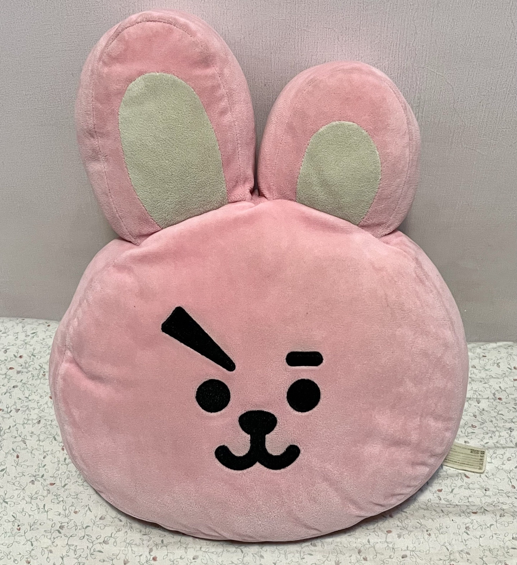 BT21 Cooky第一代大狗抱枕