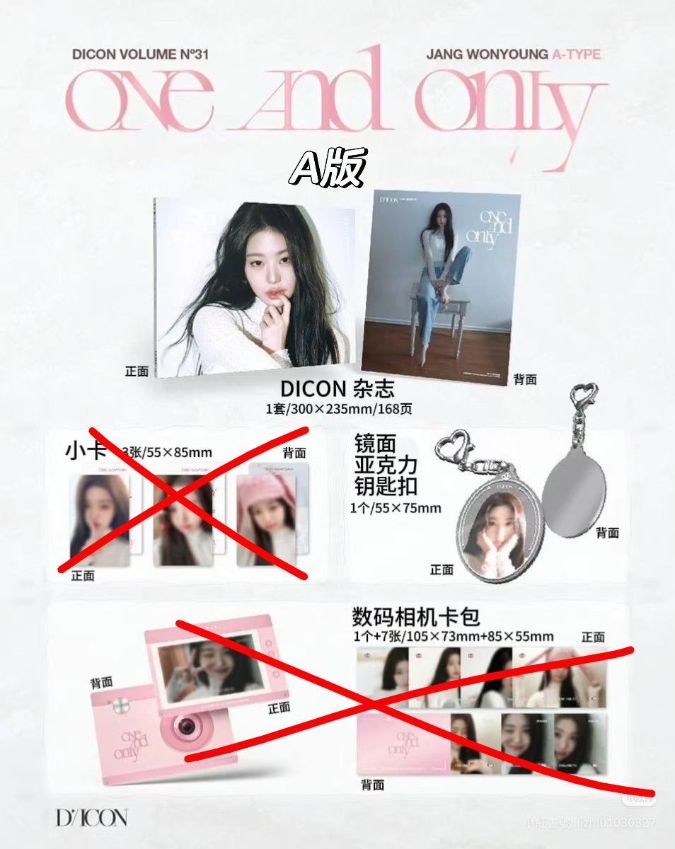 張員瑛DICON雜誌 