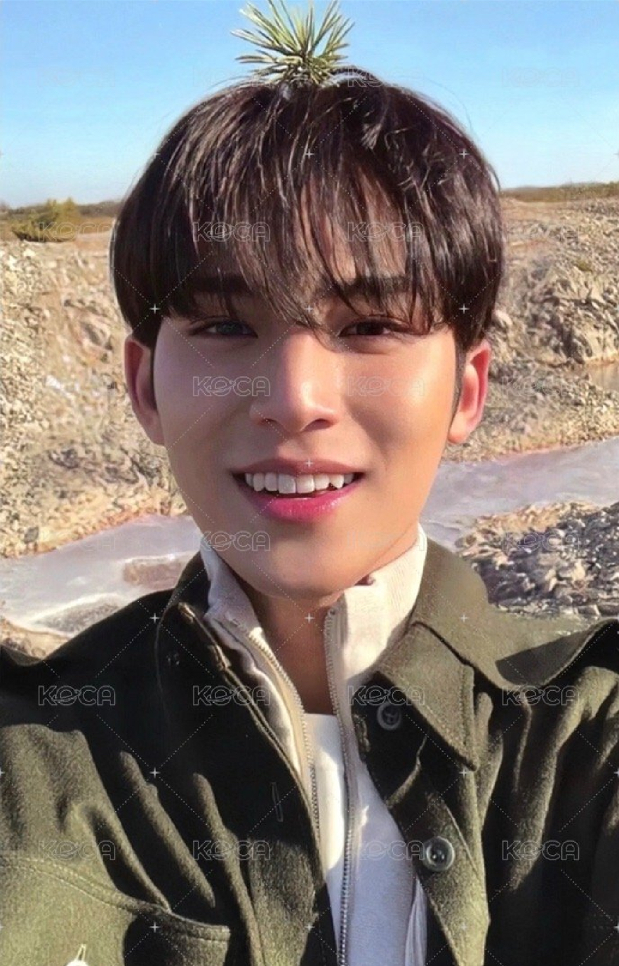 正規四奎專卡一鍵畢業