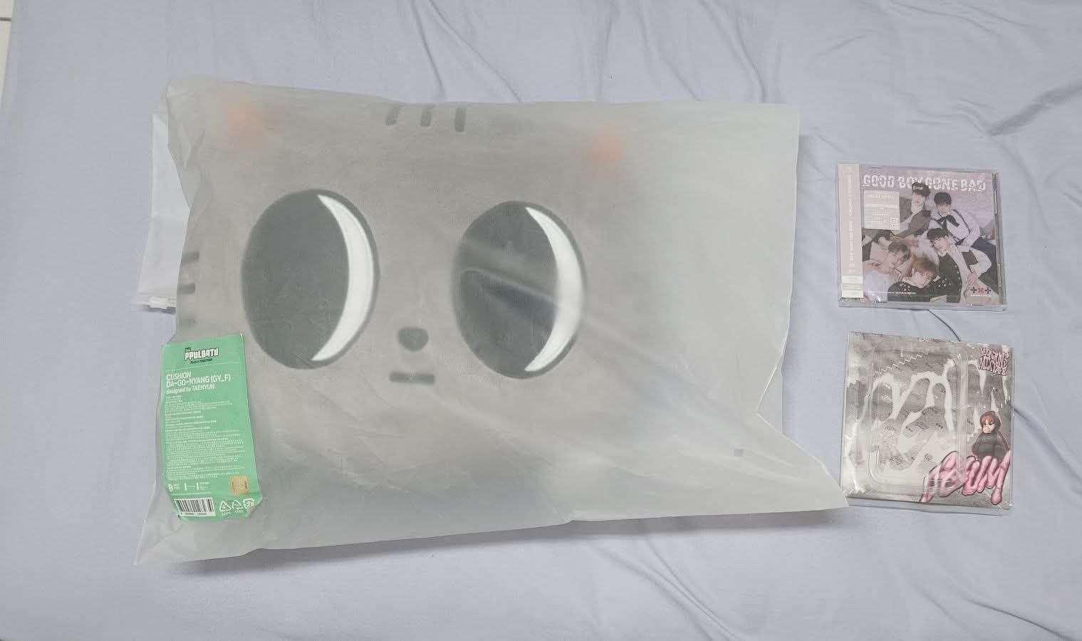 TXT姜太顯-松喵抱枕小盤