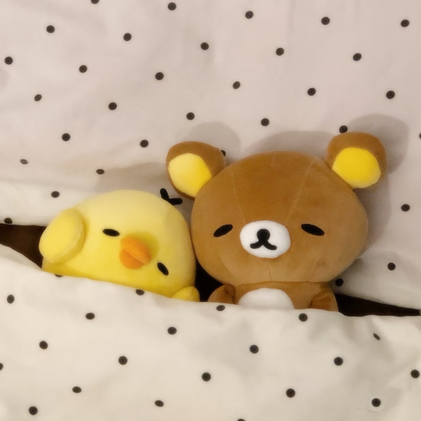 綁卡區 皆可單出