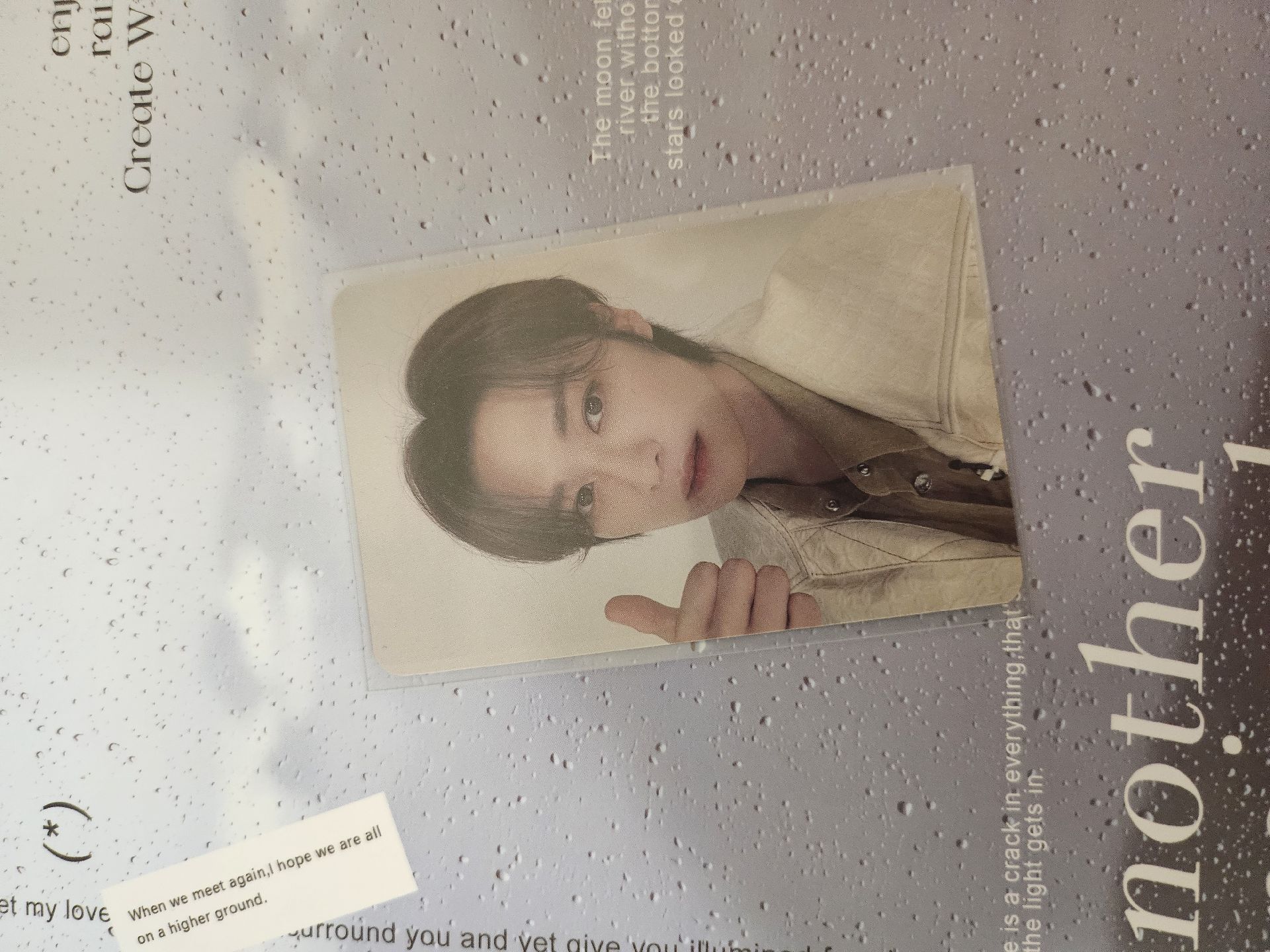 5星 樂天（100）