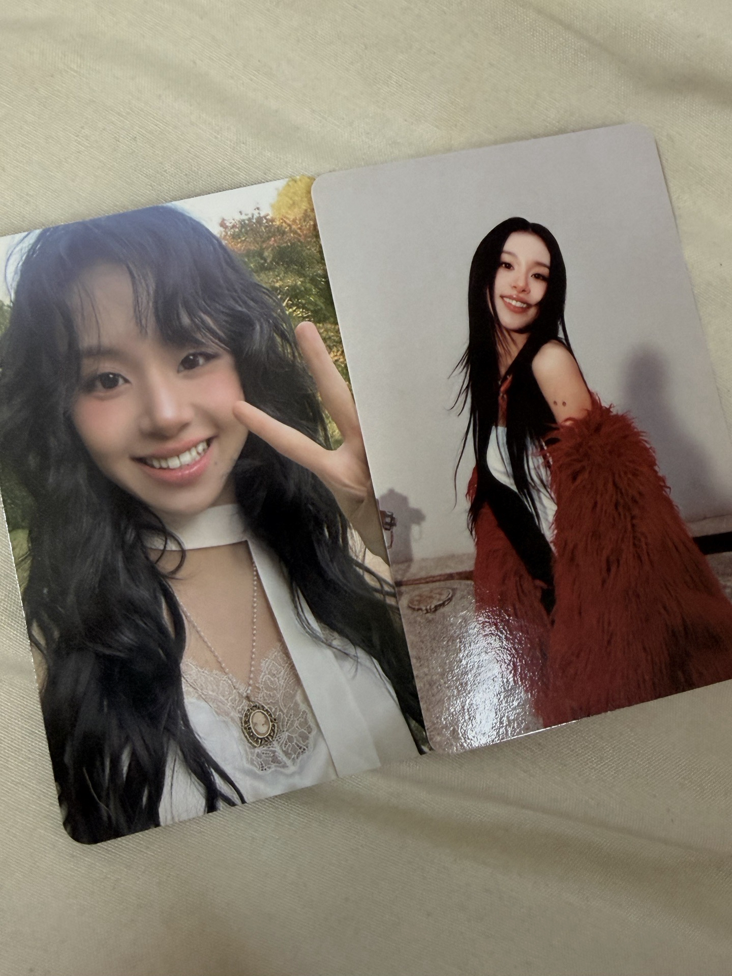 彩 迷14電子專卡+迷13專卡