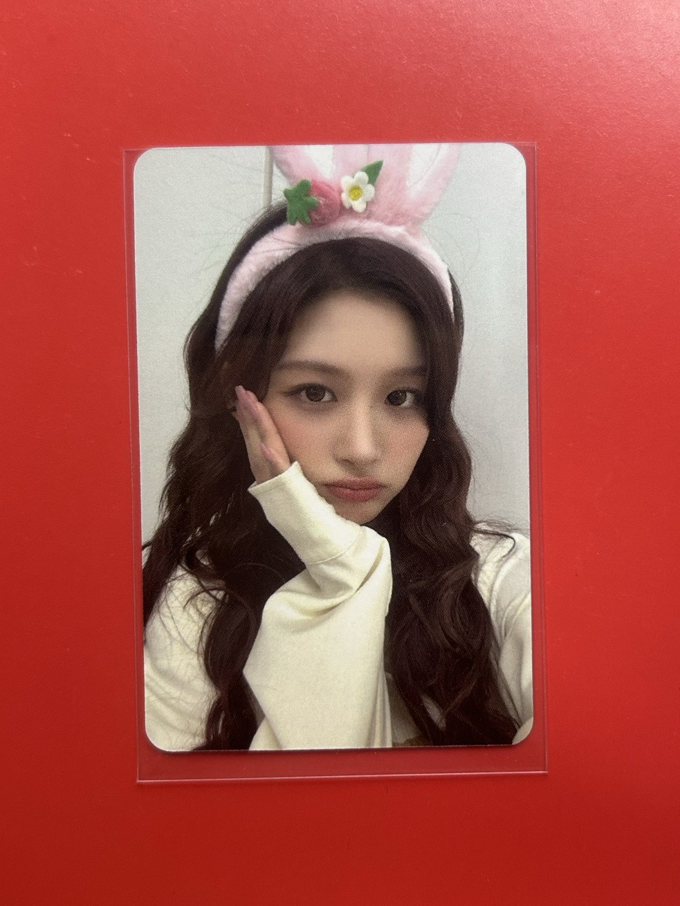 NMIXX 動物咖啡廳薛