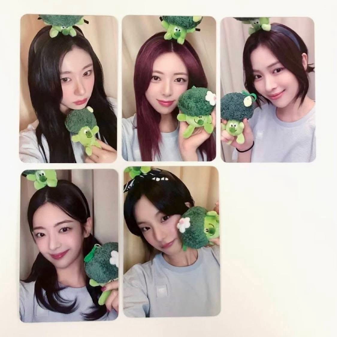 GWBG 台特花椰菜整套