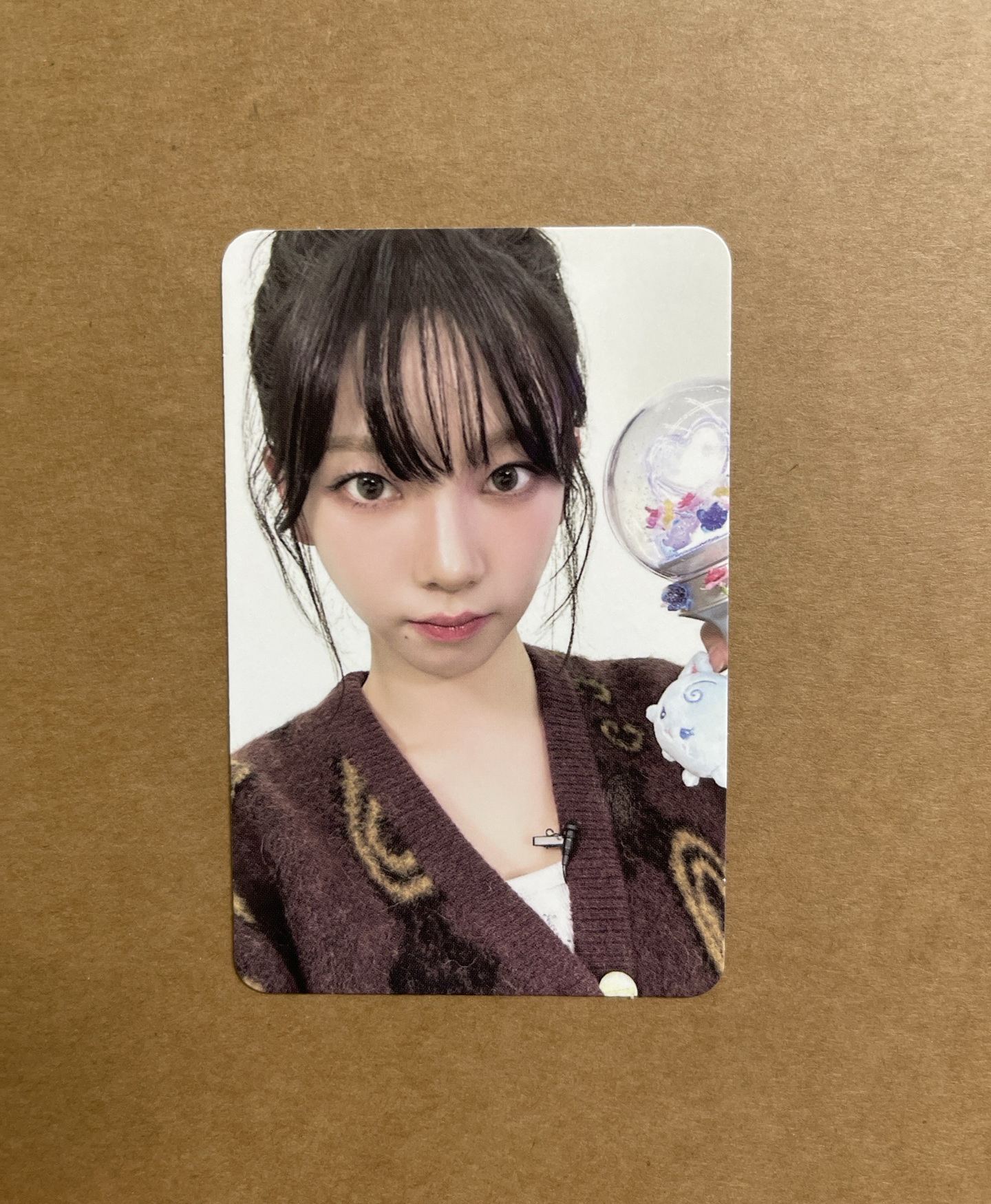 二巡 周邊卡 寫真pb柚