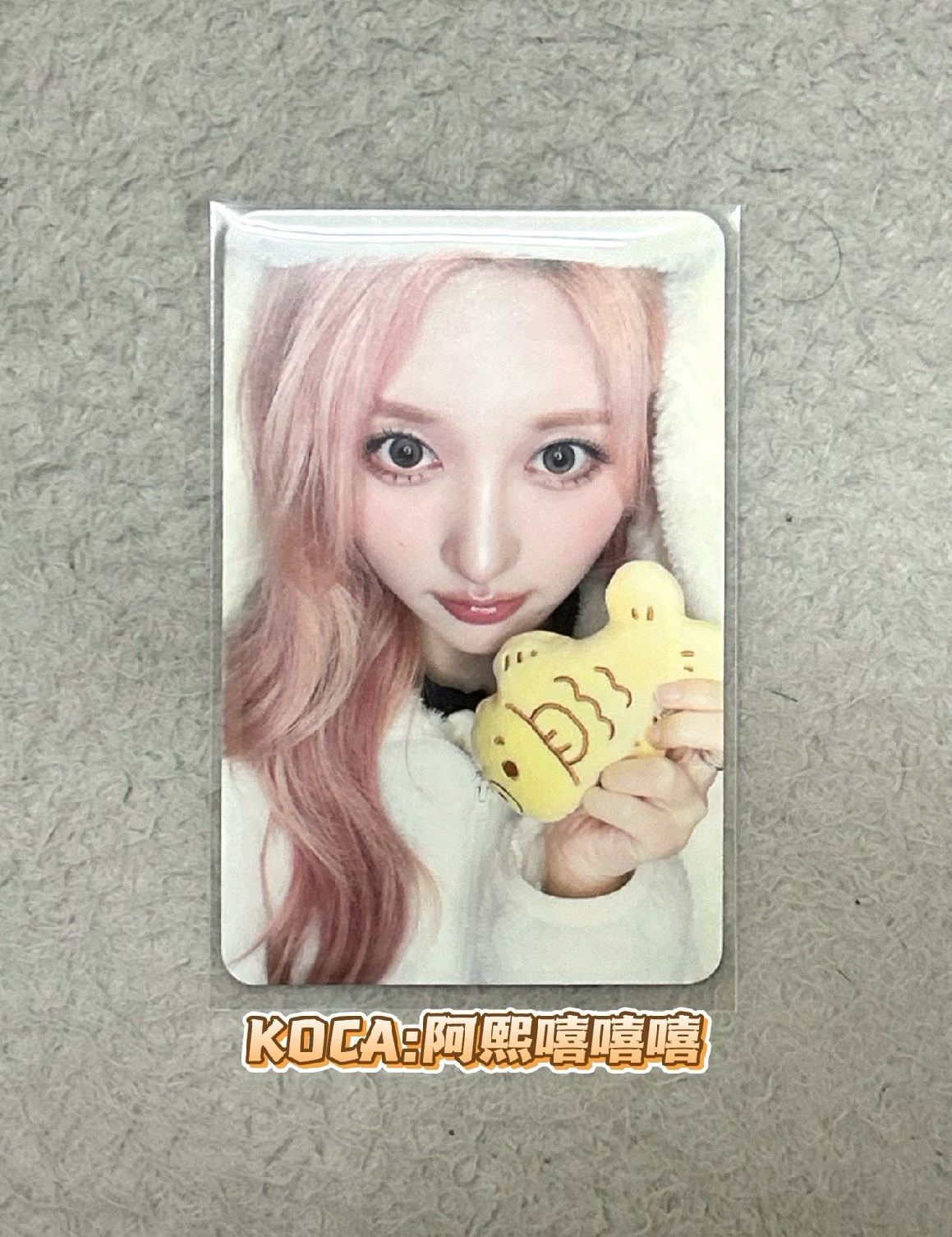 競標商品｜HL鯛魚燒秋