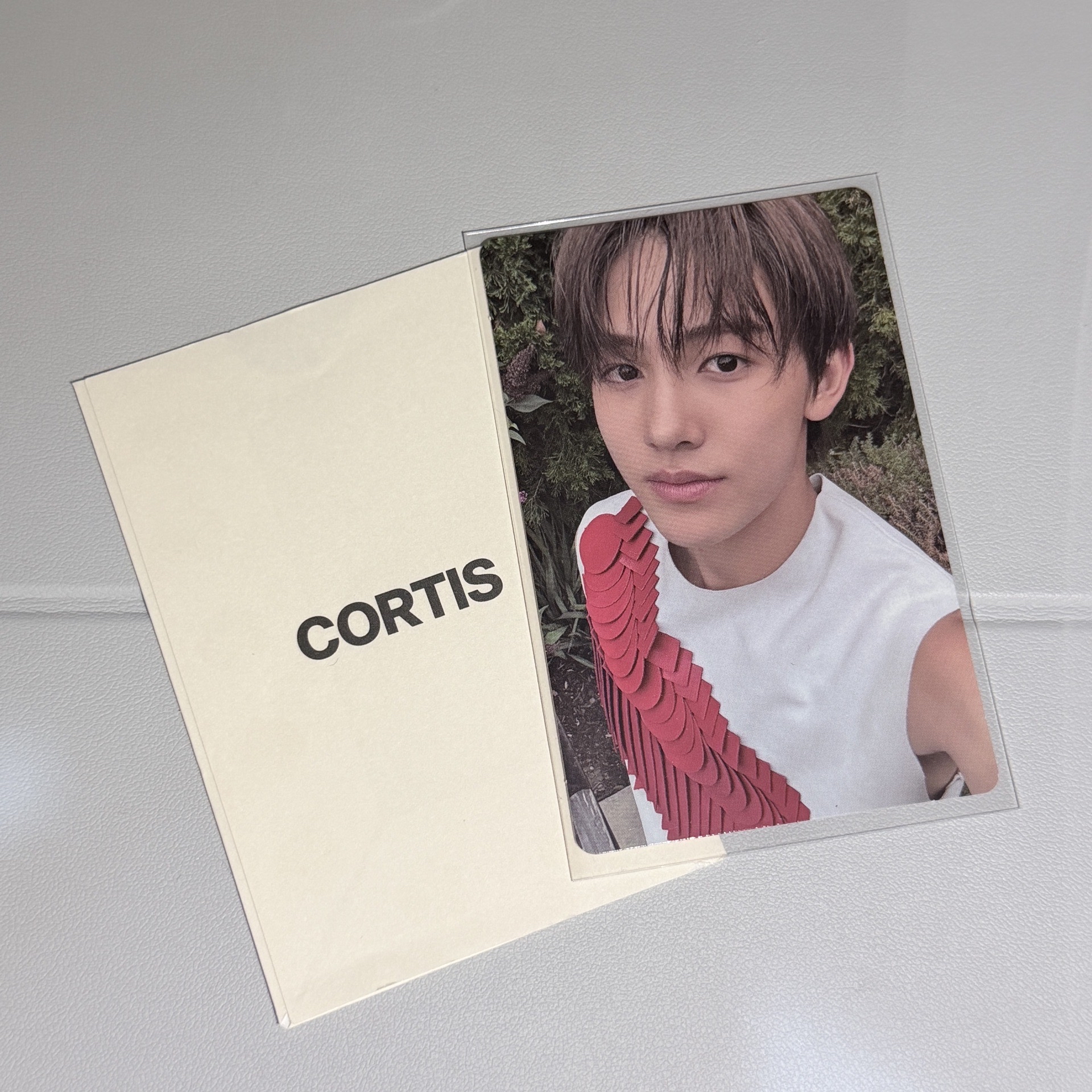 小豬小馬小狐狸現貨