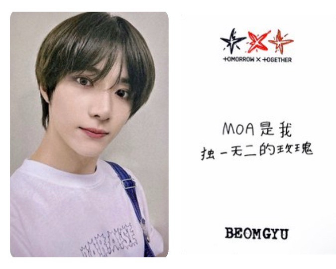 告白圭💕 中文卡背