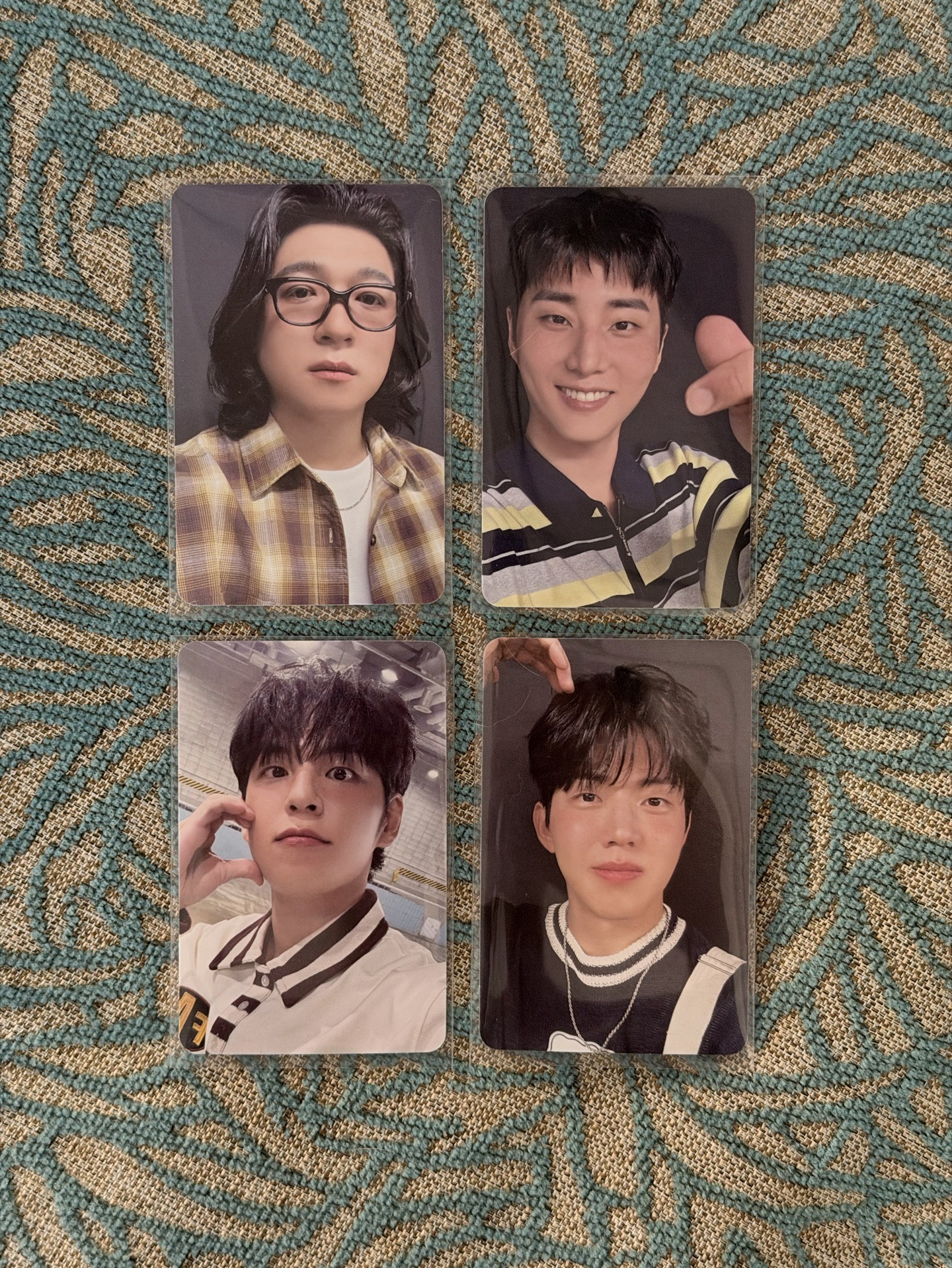 高陽入場卡🐻🦊🐰🐶#