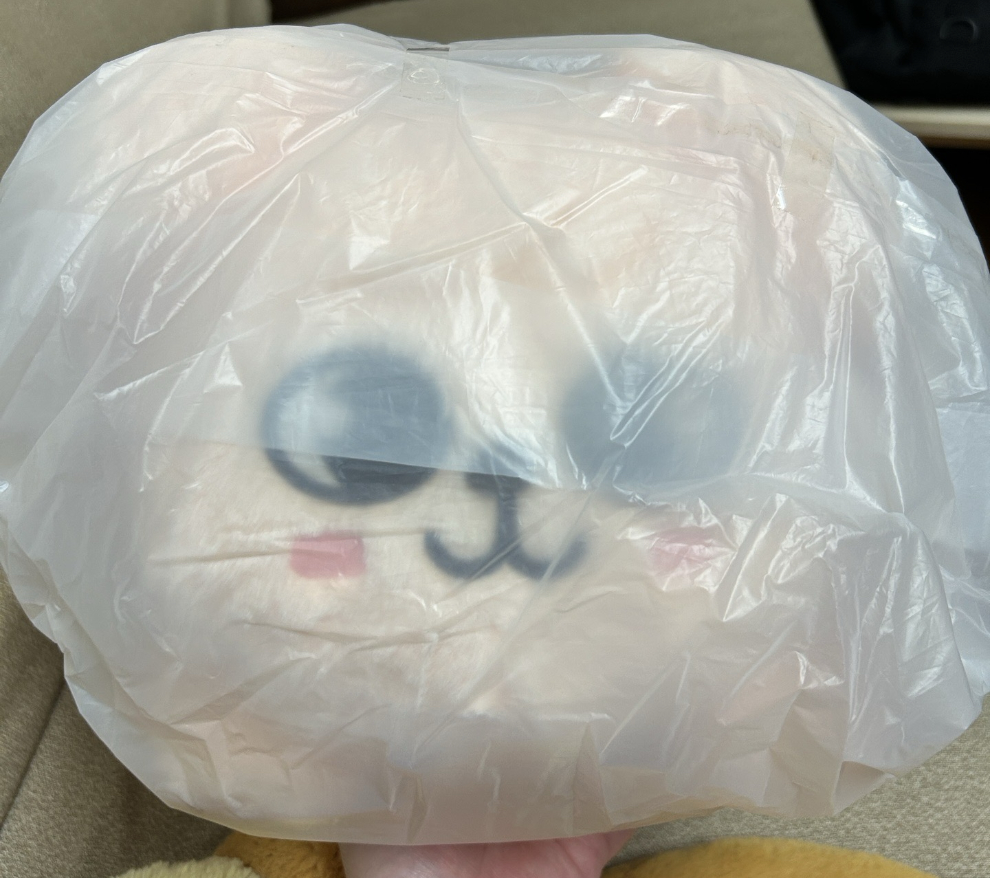 要不要帶一隻小狗回家