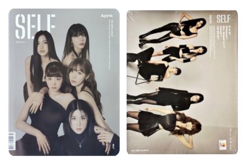Apink SELF 雜誌版空專