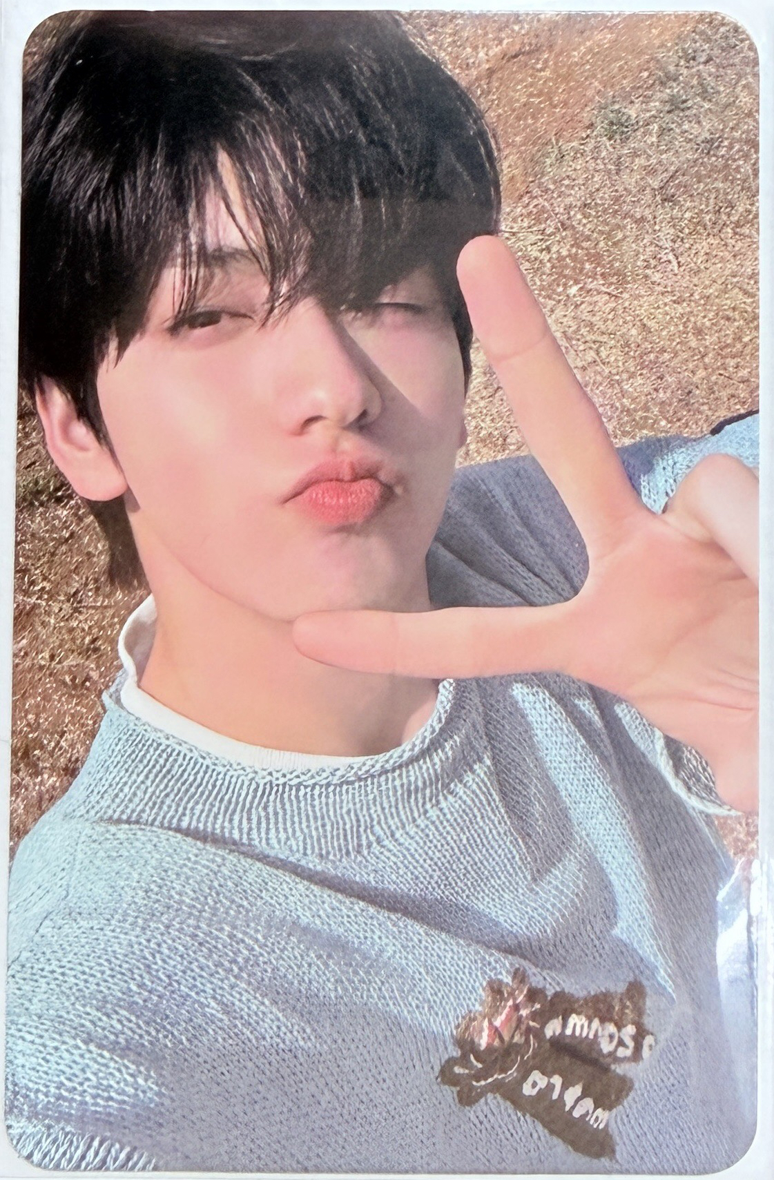 正四 專輯卡 solo比耶彬🐰