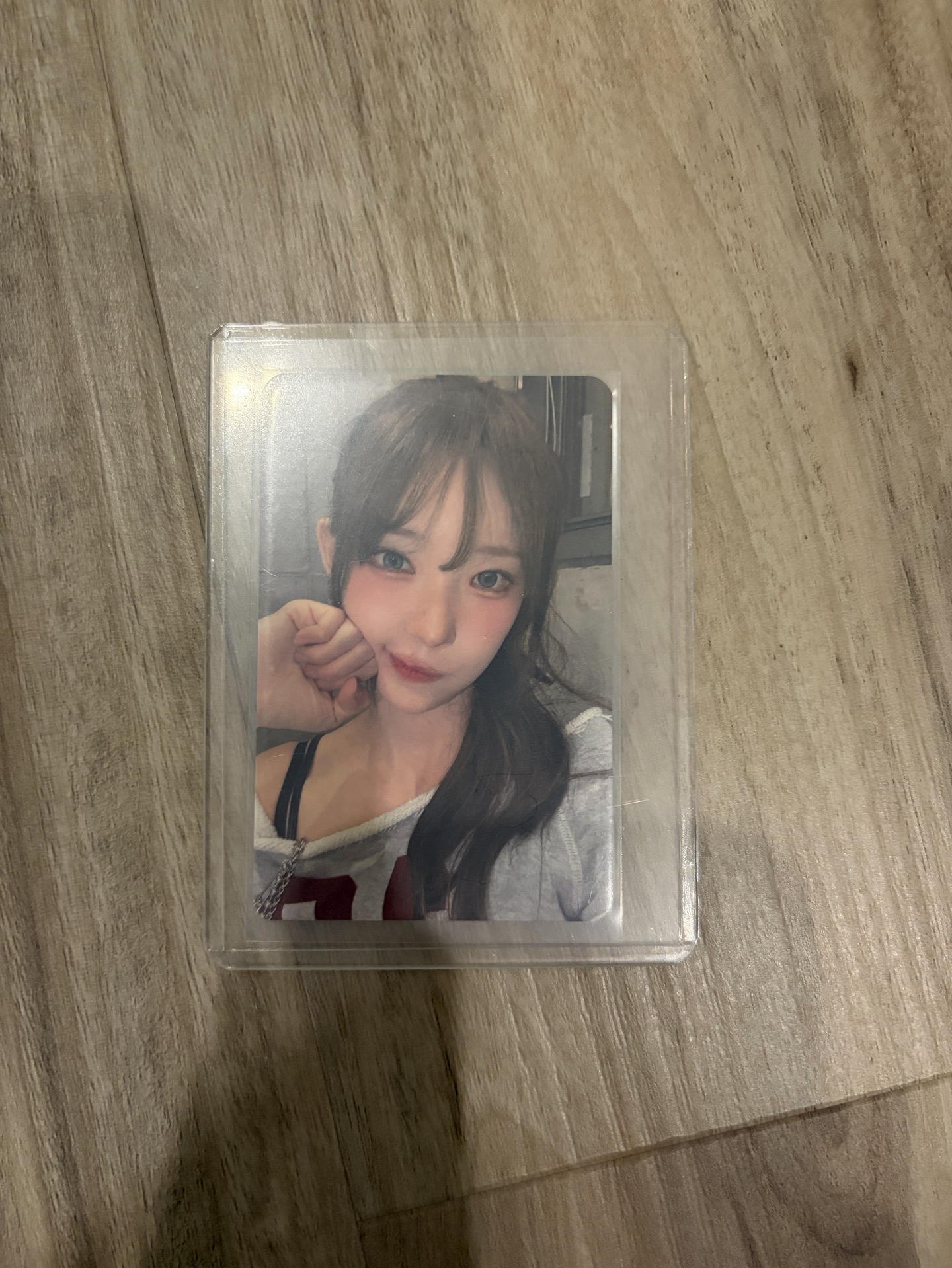 線下特典貓咪拳