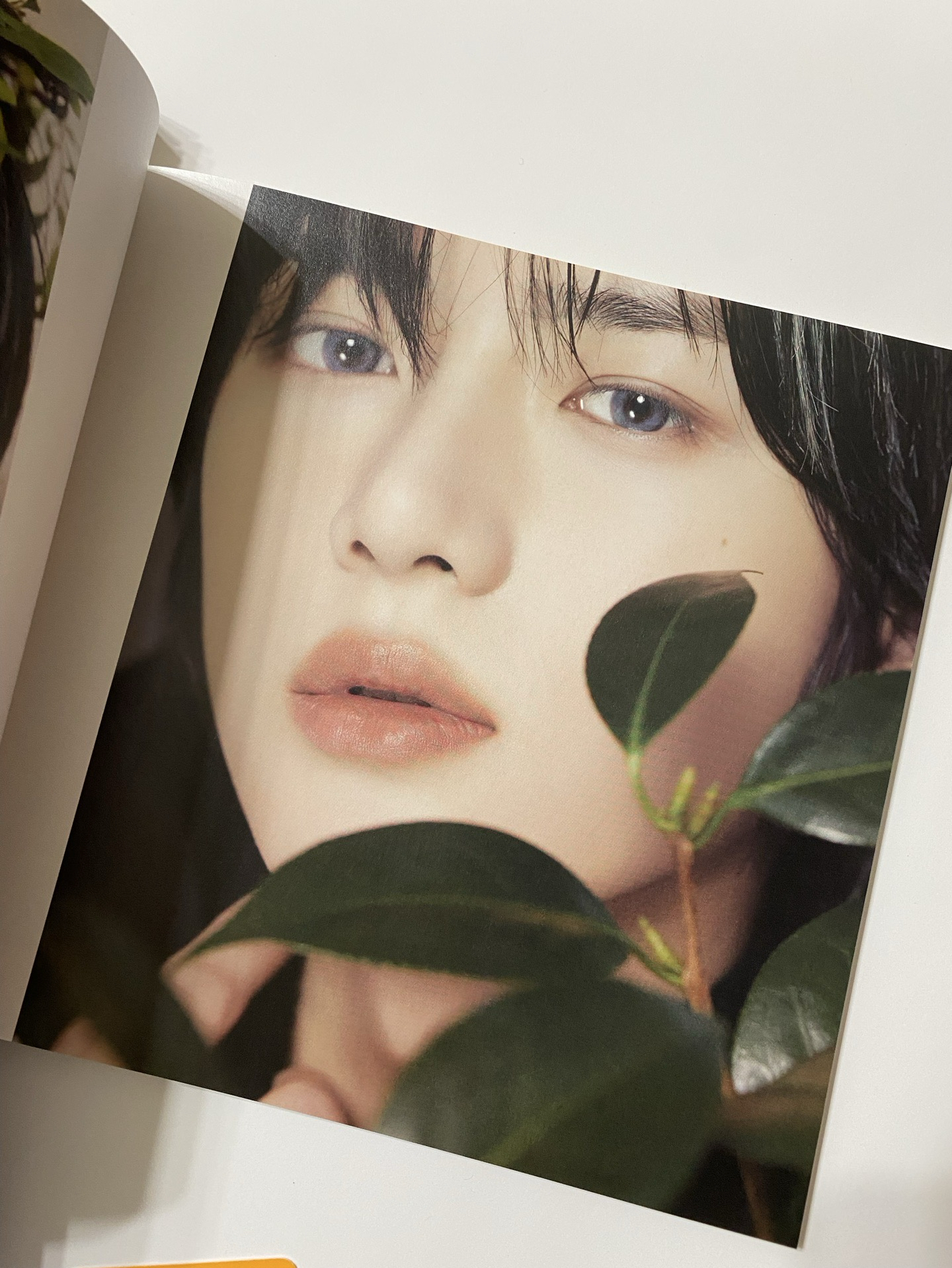 《整圖合售》TXT mini D’ICON 寫真集 小卡