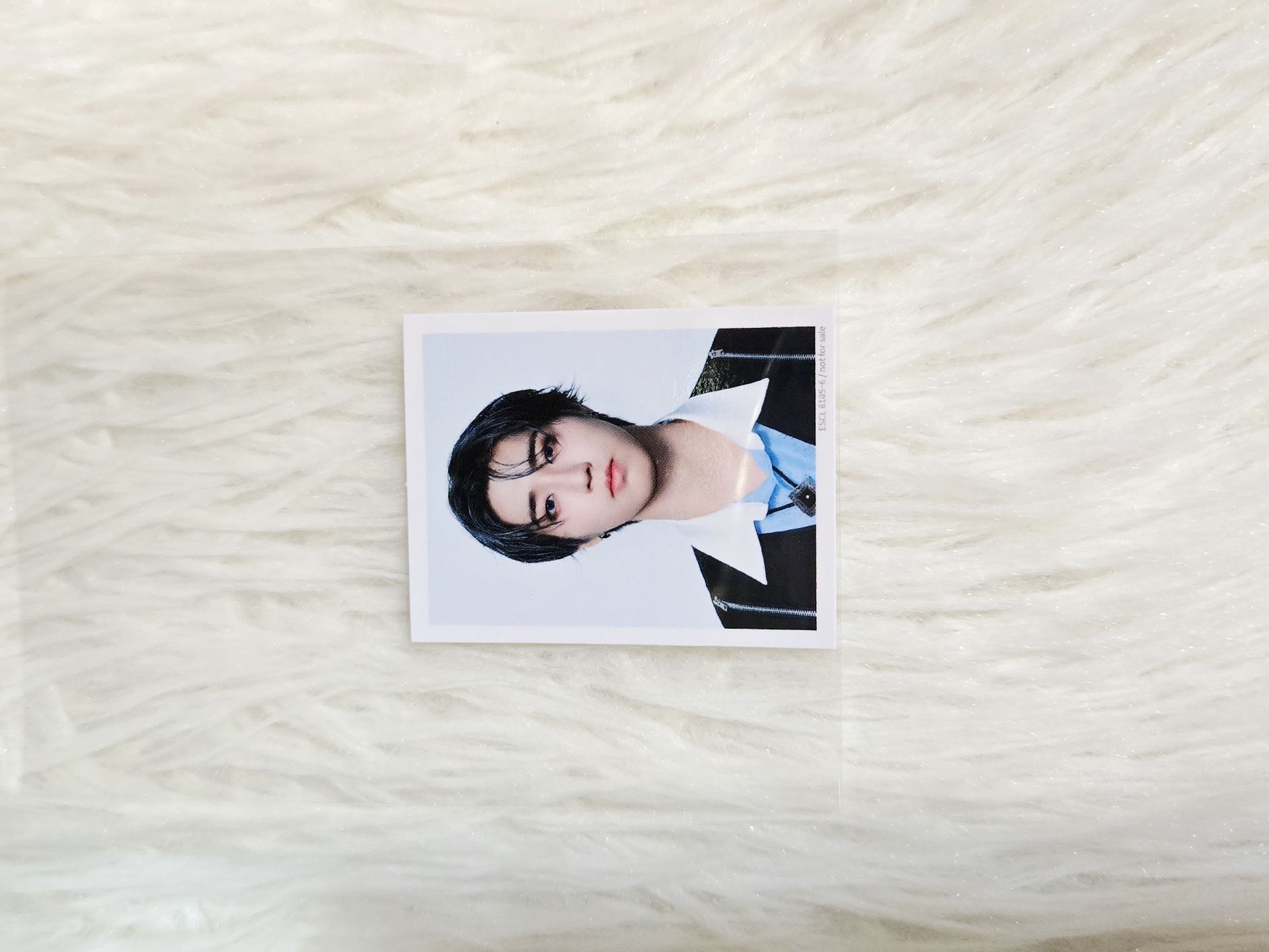 Hollow初回B證件照 城