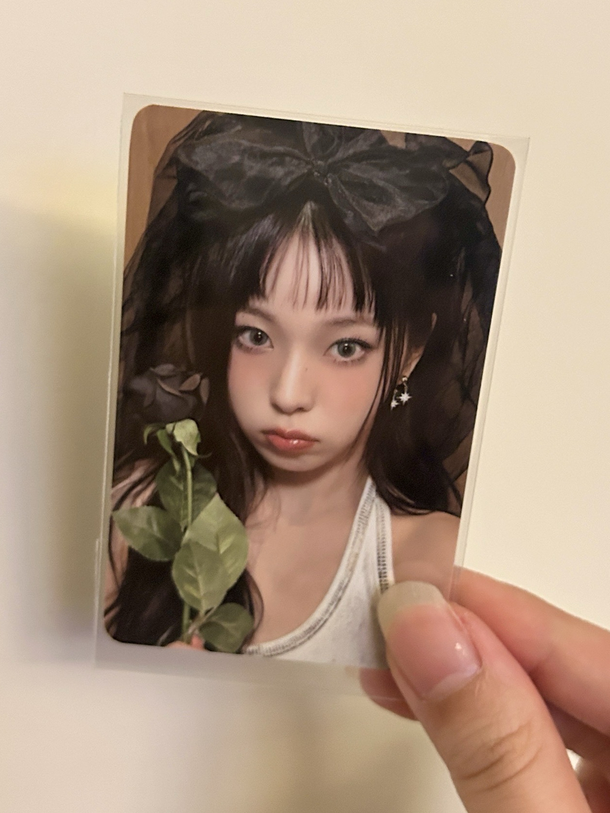 黑紗貓貓🐈‍⬛