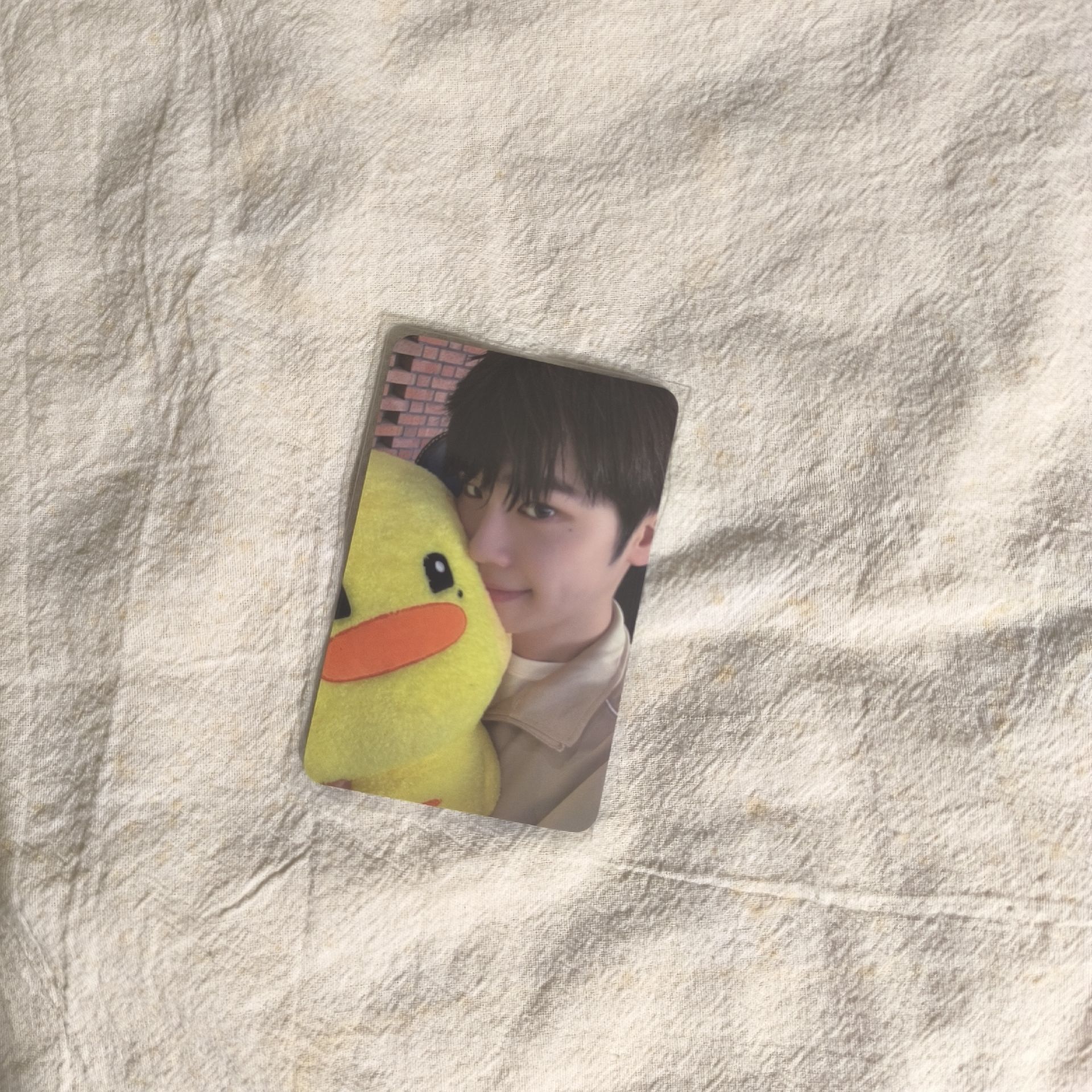 ZB1金泰來 KKT泰尼尼