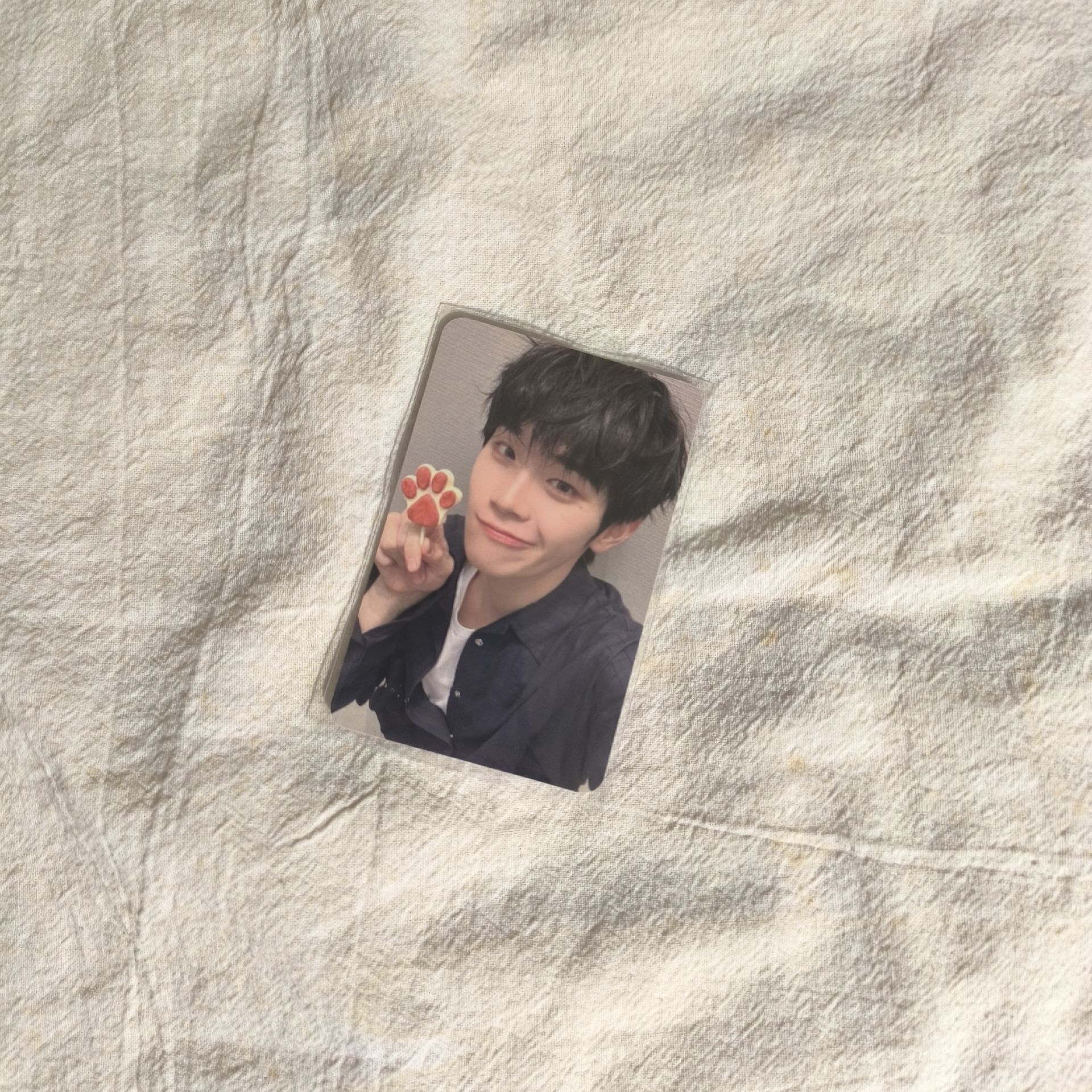 ZB1金泰來 正一逆應援