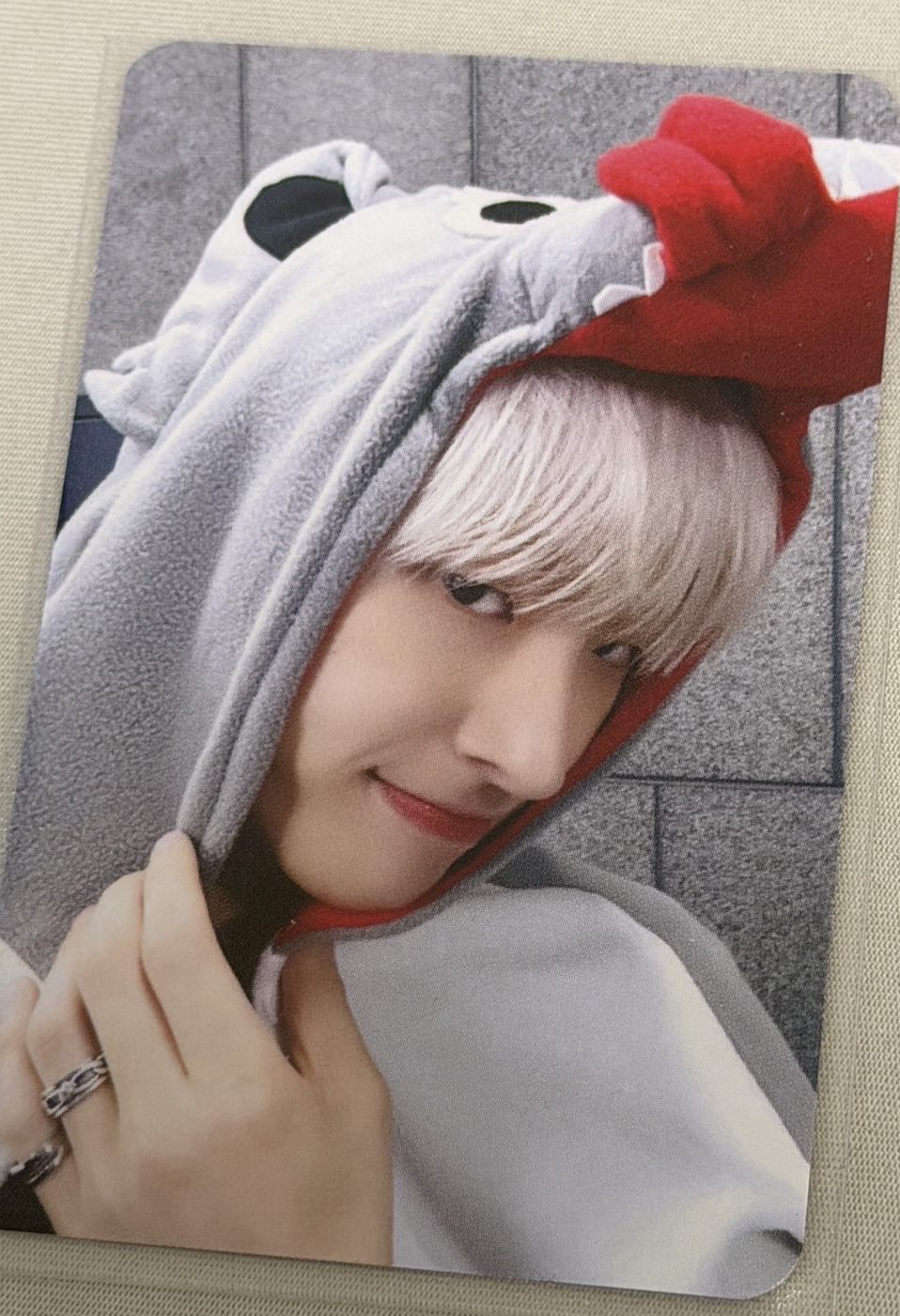 GH1 ms 6.0 簽售卡 Wolf 琦