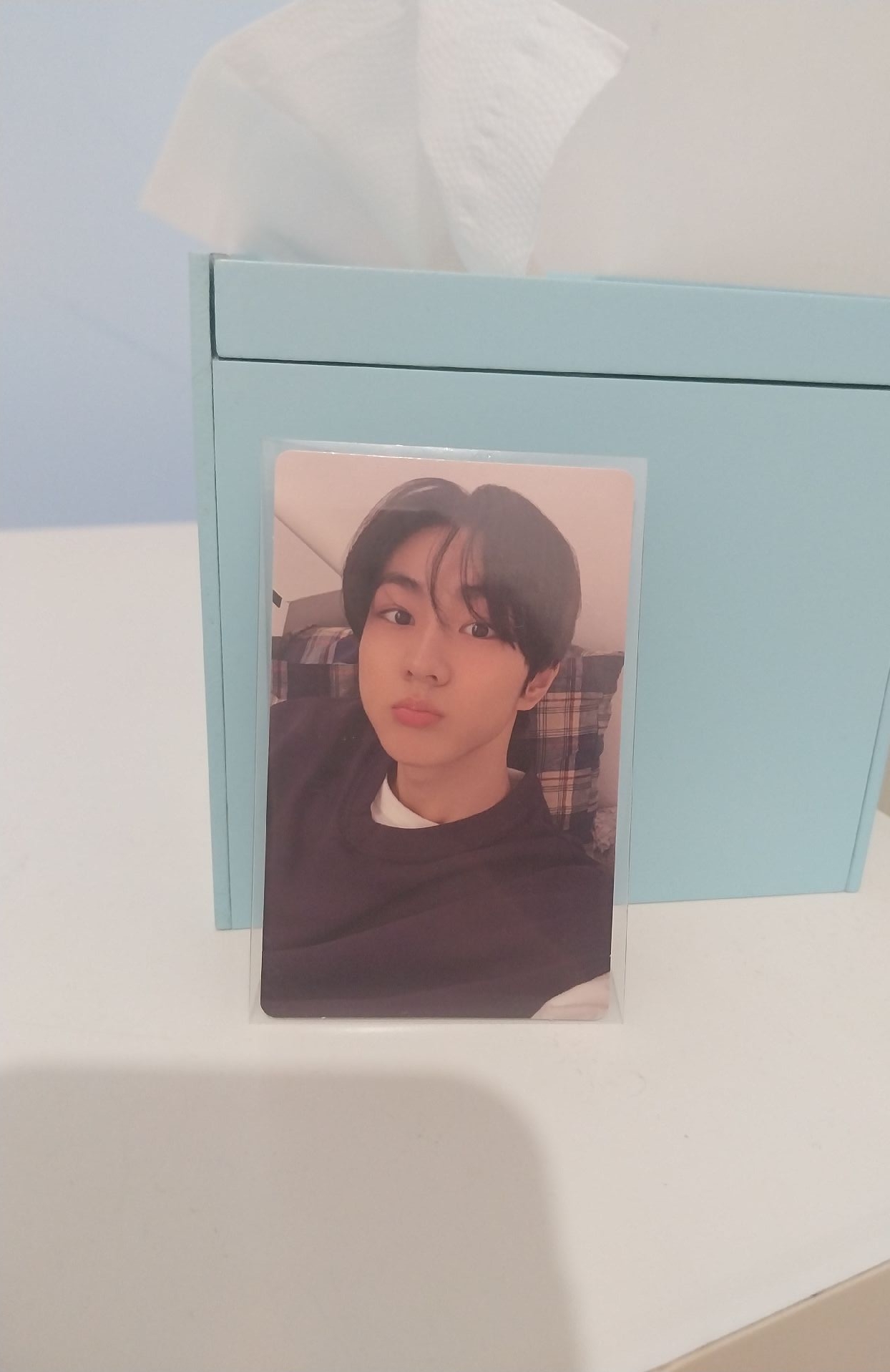 梁禎元 正二 wvs 單封 特典卡 