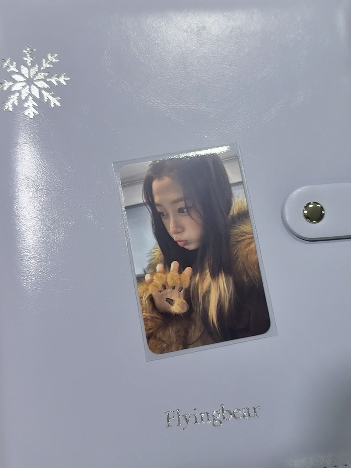 星河預售（小博美一直陪著你）