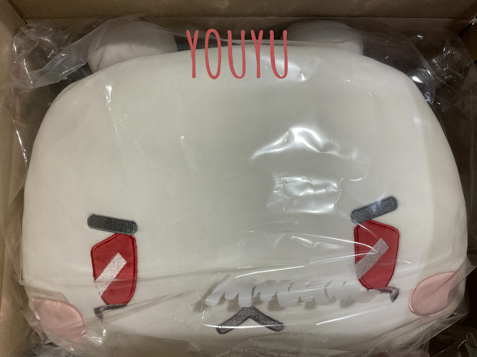 ✨現貨 muhmo 抱枕 全新未拆